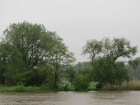 Hochwasser - Blick zum Alten Saalearm am 1 Juni 2013
