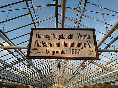 29. Saaletalschau in Alsleben vom 28.-30.10.2016