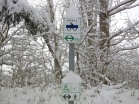 Verschneiter Radwanderweg in Alsleben - 