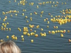 Alsleben Stadtfest 2006 - Entenrennen