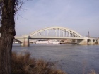 Die Alslebener Saalebrücke nah