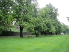 Der Park vor dem Schloss mit Sturmschäden am 1 Juni
