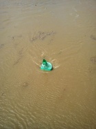 Auf der Saale schwimmt eine grüne Tonne am 13.06.2013 um 15 Uhr