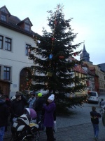 Weihnachtsbaum in Alsleben